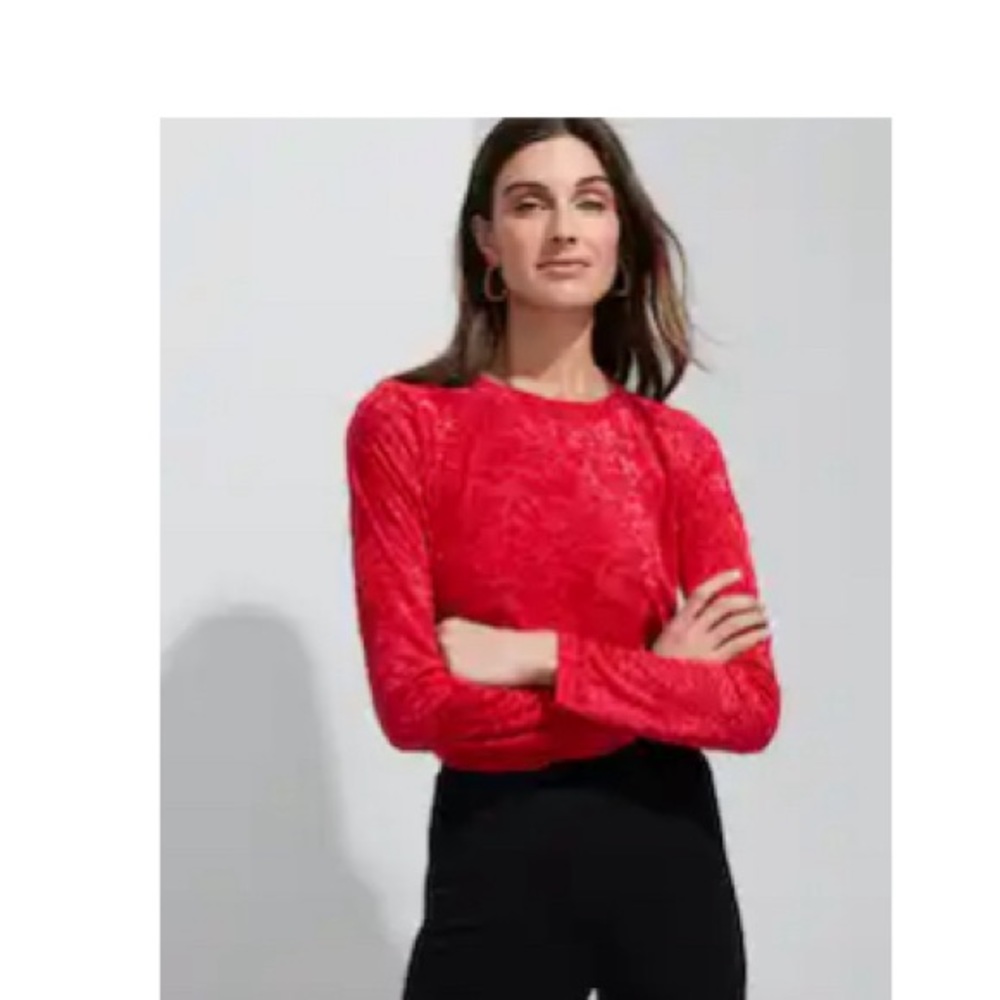 WHBM Long Sleeve Wide Scoop Burnout Top